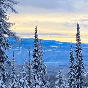 Meet your Posher, Sydney